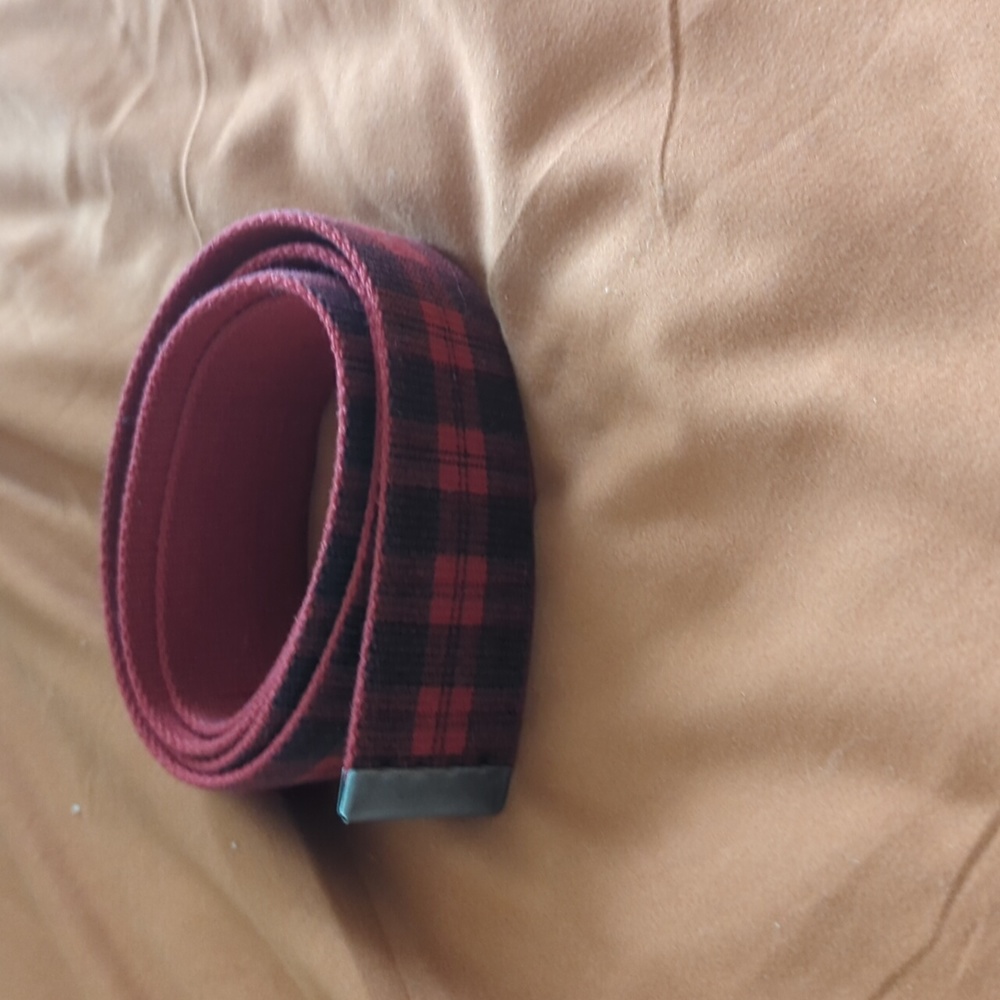 Plaid Web Belt. No Buckle